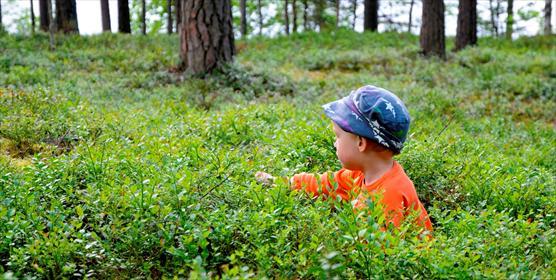 Mustikassa_Mikko Kuusinen_rajattu